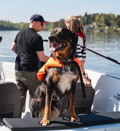 Hund med flytväst i en båt, med två personer i bakgrunden som också är klädda för båtfärd.