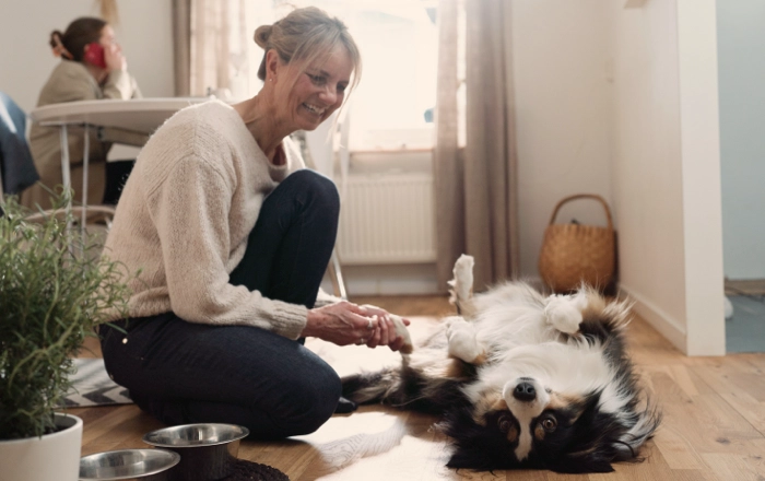 Kvinna klappar en hund som ligger på rygg på ett trägolv.)