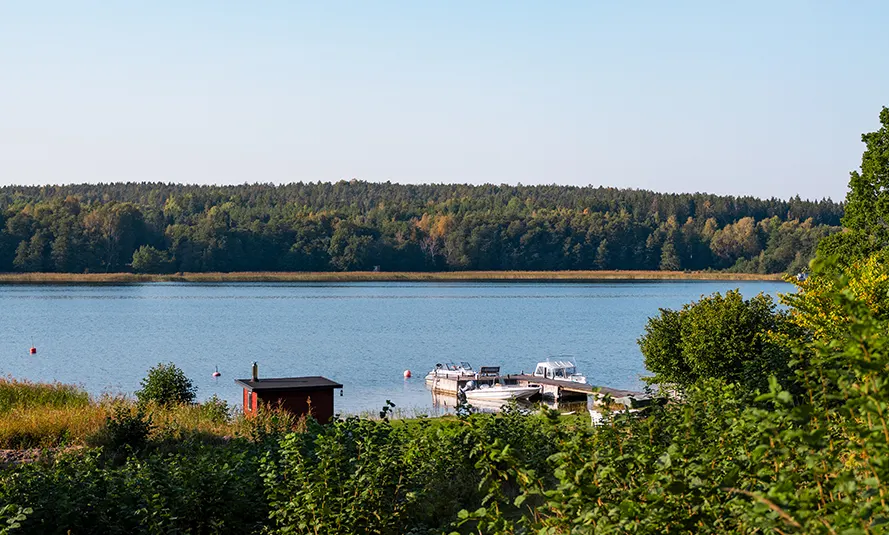 Vy över en sjö med brygga, båtar, grönska och skog i horisonten.